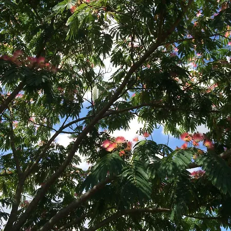 Frühstückspension D'hotes De La Roche Frossay